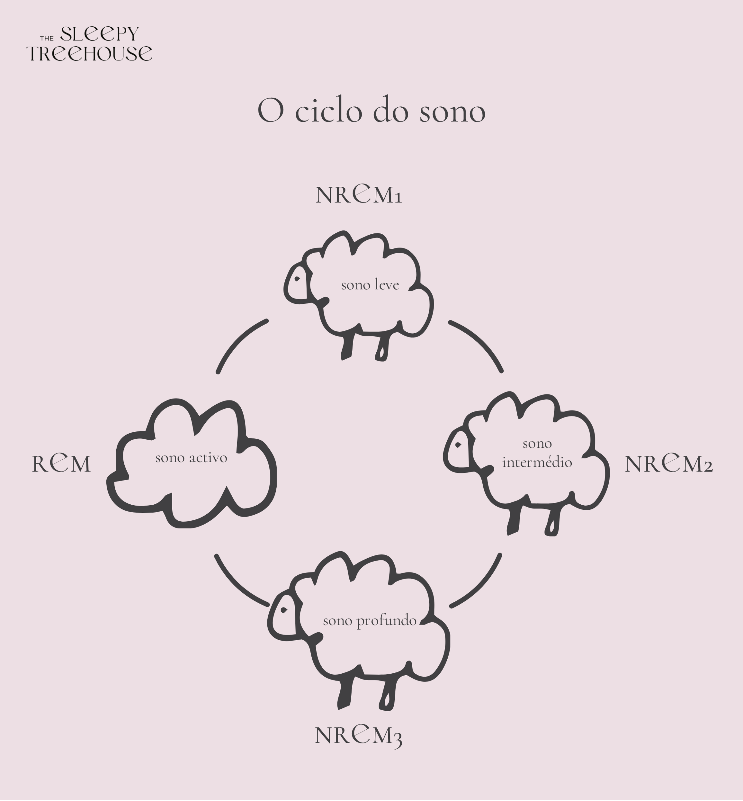 Ilustração: o ciclo de sono do bebé